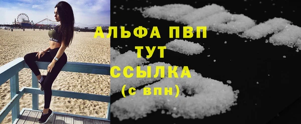 стаф Алексин