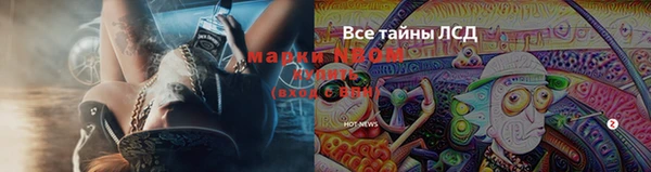 каннабис Алзамай