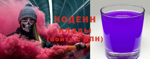 стаф Алексин