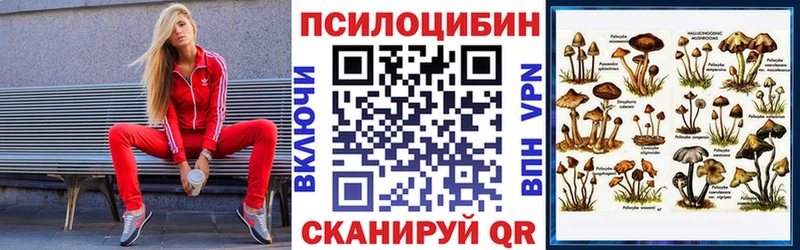 Галлюциногенные грибы GOLDEN TEACHER  shop состав  Спасск 